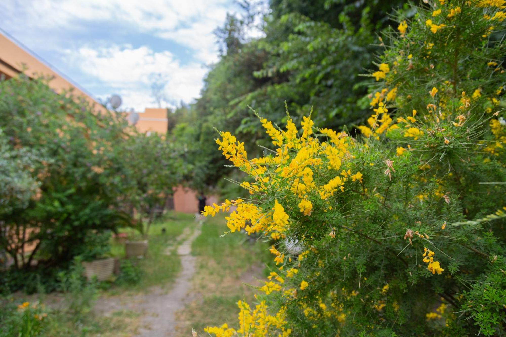 La Casa Di Nonna Peppina A Trastevere 로마 외부 사진